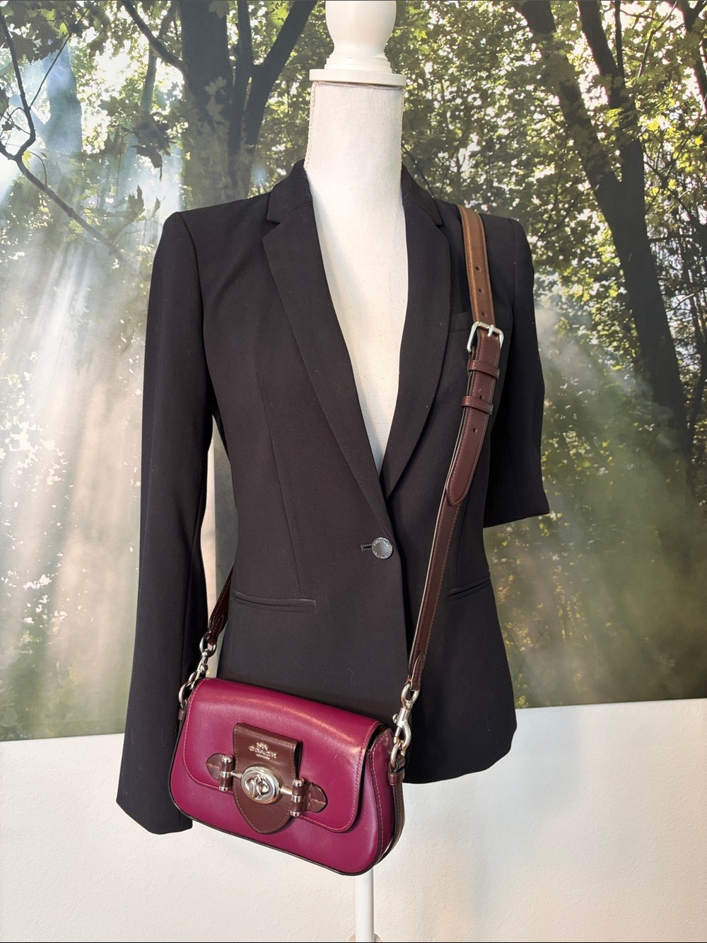Coach Brie Shoulder Bag